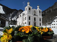 Blumen im Schnee